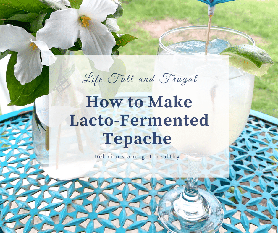 The way to Make Lacto-Fermented Tepache