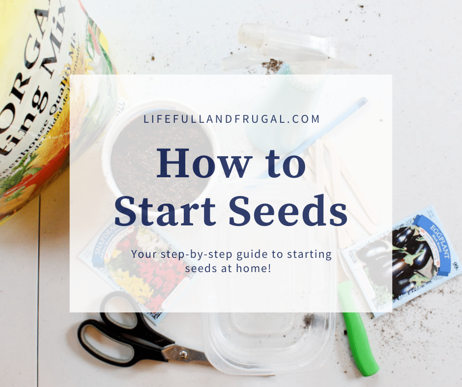 Tips on how to Begin Seeds – Life Full and Frugal