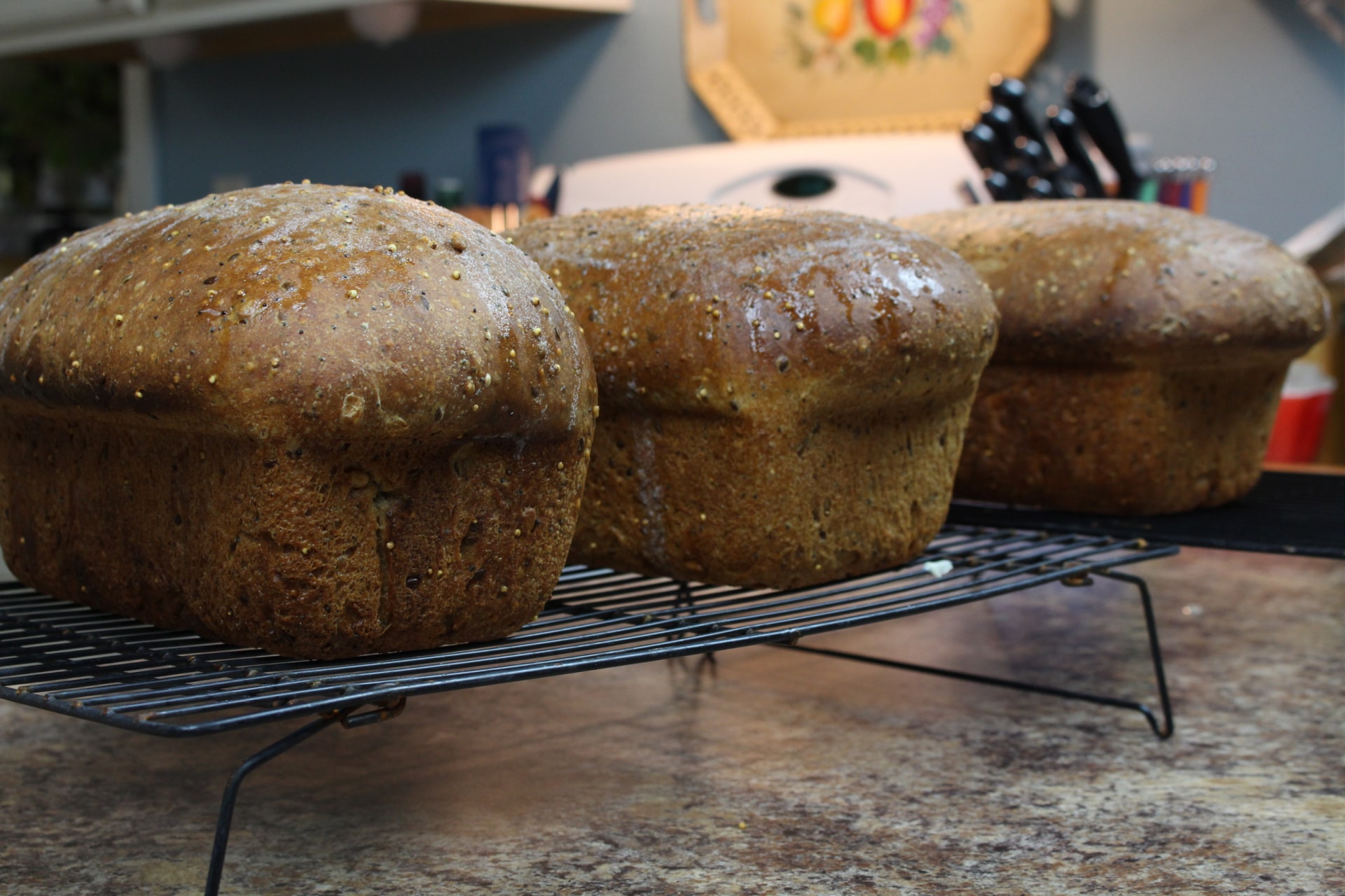 Learn how to Make Sourdough Bread: A Multigrain Sandwich Loaf