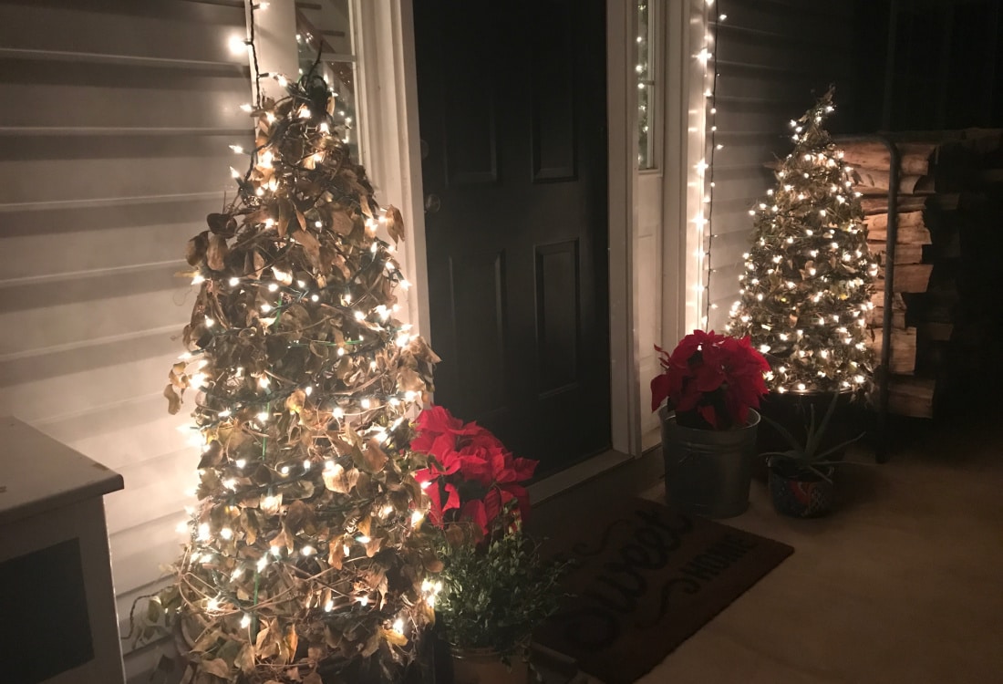 Tips on how to Make Simple DIY Christmas Bushes Utilizing Tomato Cages