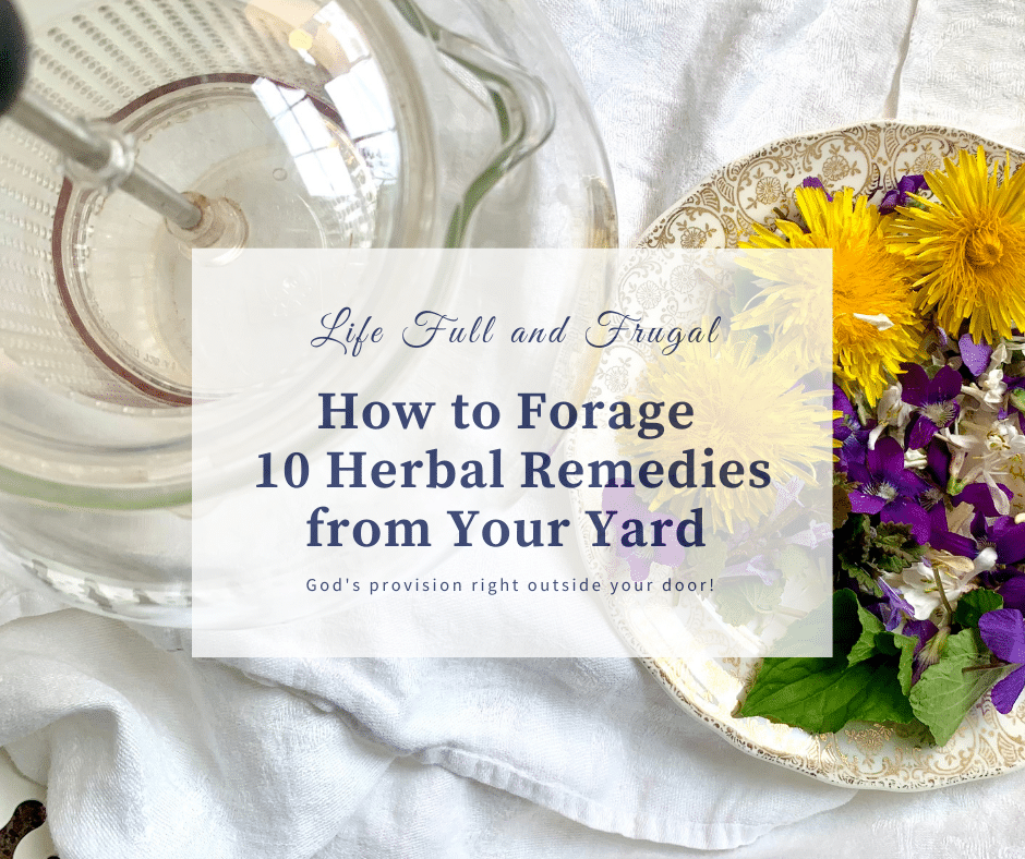 Find out how to Forage 10 Natural Treatments from Your Yard