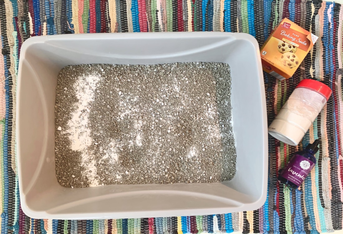 Home made Kitty Litter Deodorizer – Life Full and Frugal