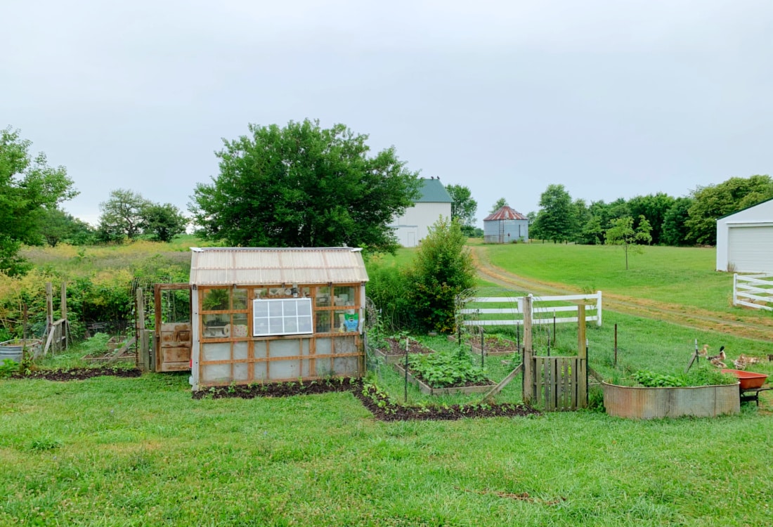 Easy No-Dig Herb Border Beds for the Backyard